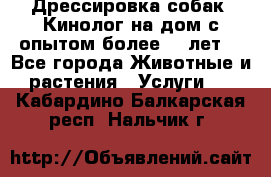 Дрессировка собак (Кинолог на дом с опытом более 10 лет) - Все города Животные и растения » Услуги   . Кабардино-Балкарская респ.,Нальчик г.